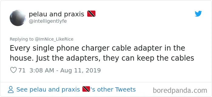 Hilarious Twitter Thread Of Things People Would Steal To Mildly Inconvenience Their Victims (30 Pics)