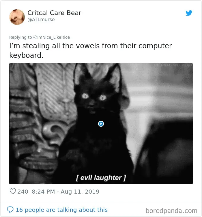 Hilarious Twitter Thread Of Things People Would Steal To Mildly Inconvenience Their Victims (30 Pics)