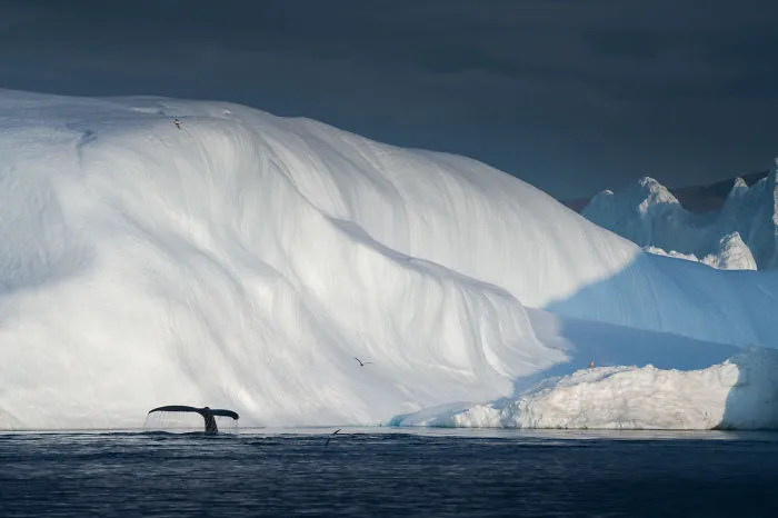 I Captured The ‘Disappearing’ Beauty Of Greenland, And Here's The Result (30 Pics)
