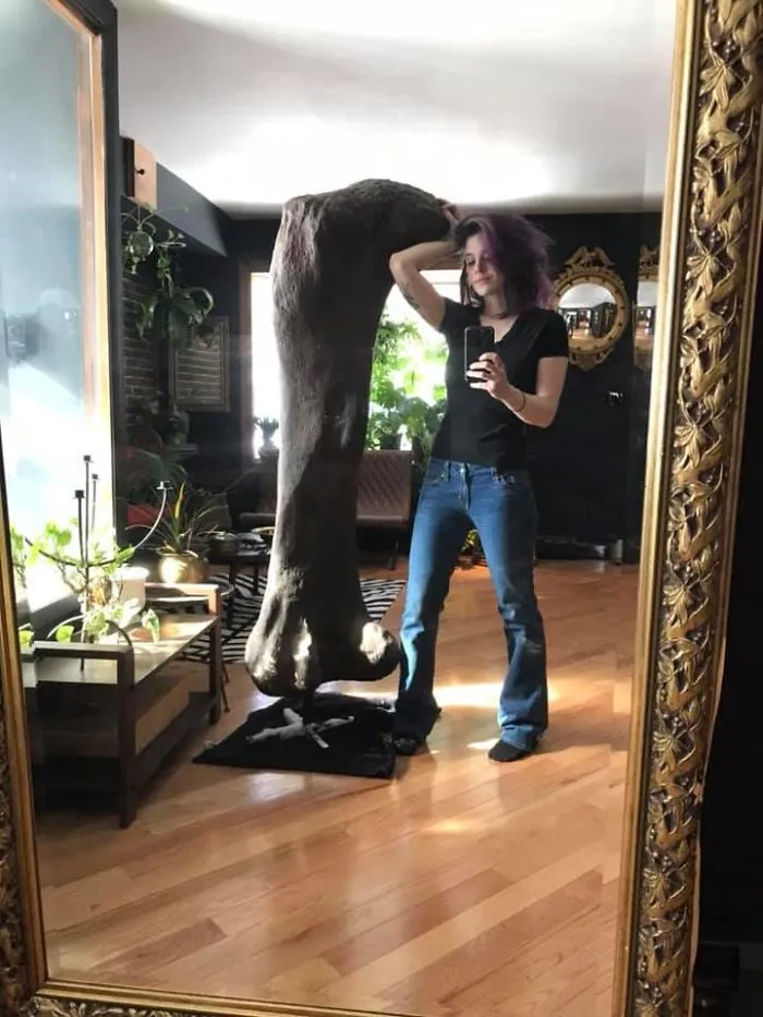 Back In January, I Acquired One Of My Most Prized Possessions- A Life-Sized Cast Replica Of An Apatosaurus Femur Bone!