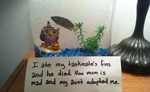 23 Hilarious Fish That Got Shamed Publicly For Being Naughty