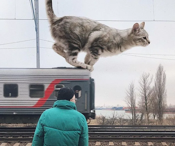Este artista crea imágenes mostrando cómo sería el mundo si los gatos fueran mucho más grandes (30 imágenes)