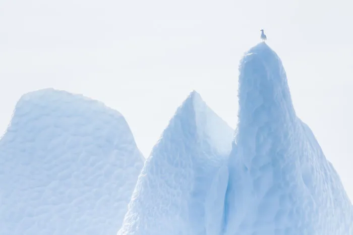 I Captured The ‘Disappearing’ Beauty Of Greenland, And Here's The Result (30 Pics)