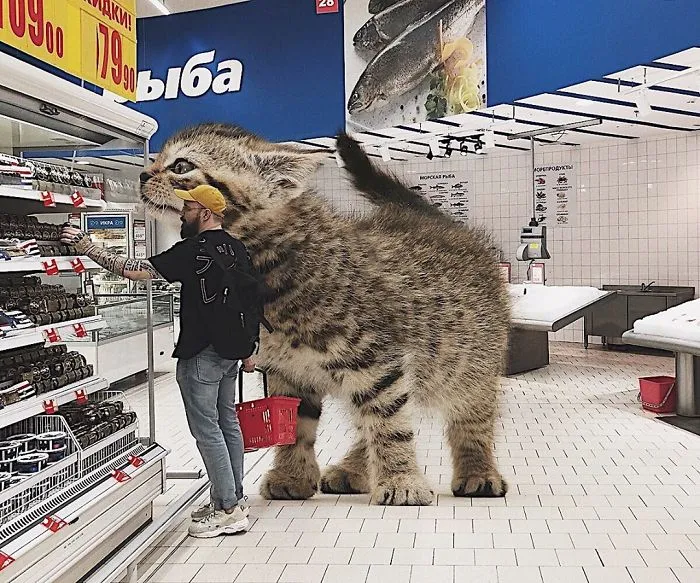 Este artista crea imágenes mostrando cómo sería el mundo si los gatos fueran mucho más grandes (30 imágenes)