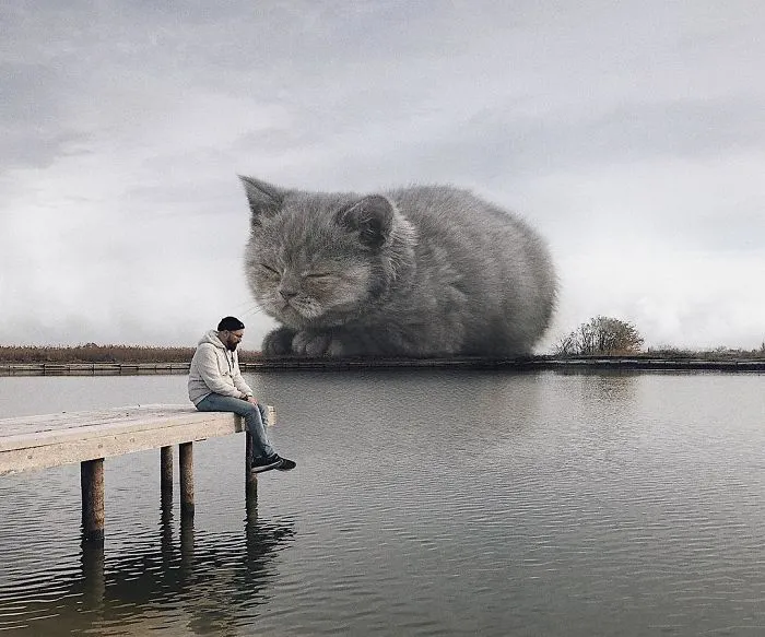 Este artista crea imágenes mostrando cómo sería el mundo si los gatos fueran mucho más grandes (30 imágenes)