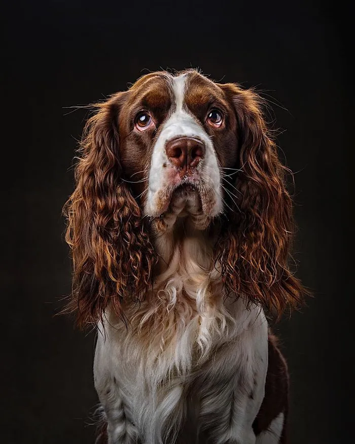 Ellie Mae, 2017