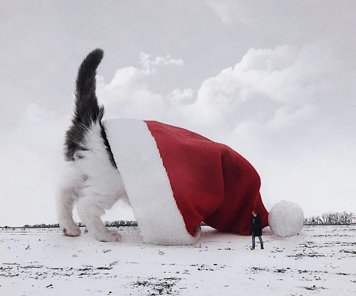 Este artista crea imágenes mostrando cómo sería el mundo si los gatos fueran mucho más grandes (30 imágenes)
