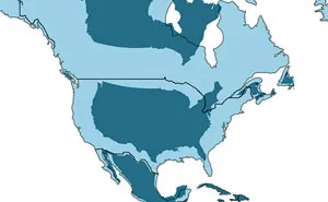 After Seeing This Map With The Actual Size Of Every Country, You'll Never Look At The World The Same