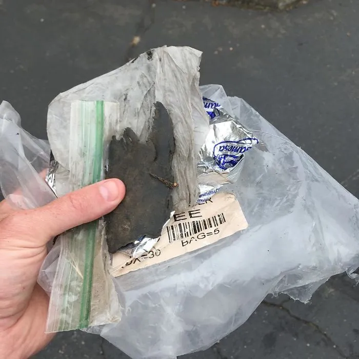 This Guy Posts Trash He Picks Up And It's The Only Instagram Worth Following