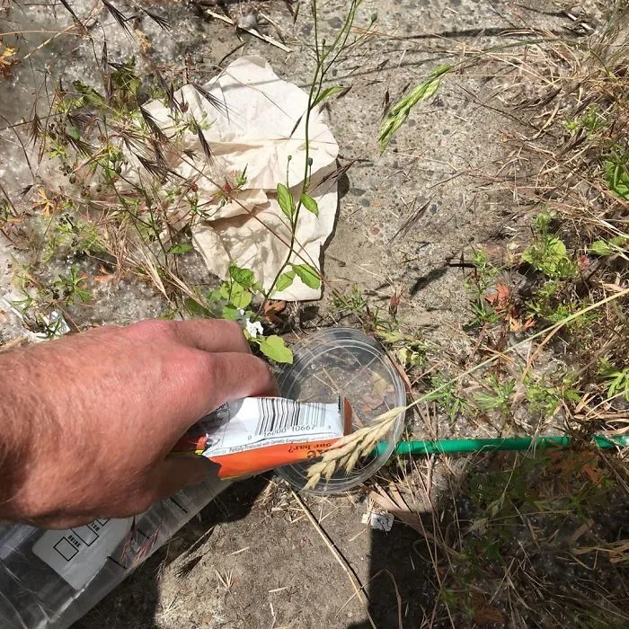This Guy Posts Trash He Picks Up And It's The Only Instagram Worth Following