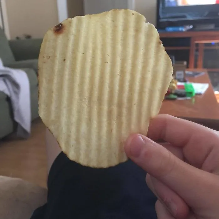 Won The Food Lottery