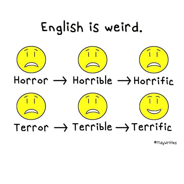 40 Times People Were Confused By The English Language