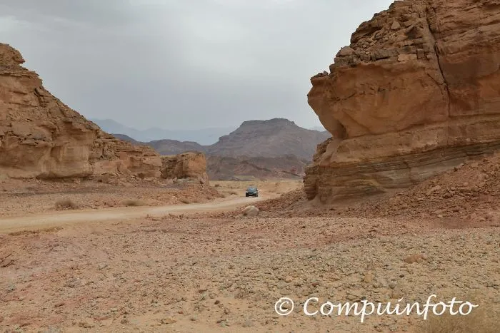 With A Rent A Car Through The Desert