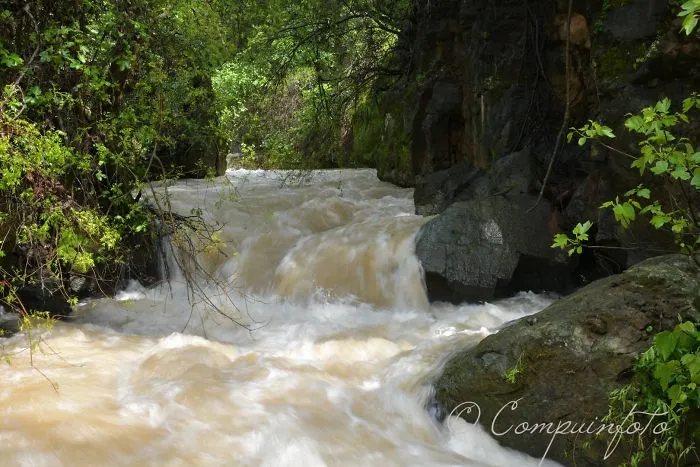 Banias