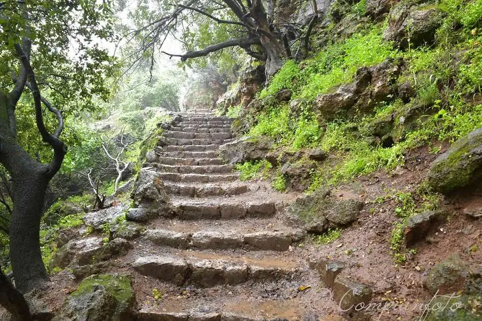 Banias
