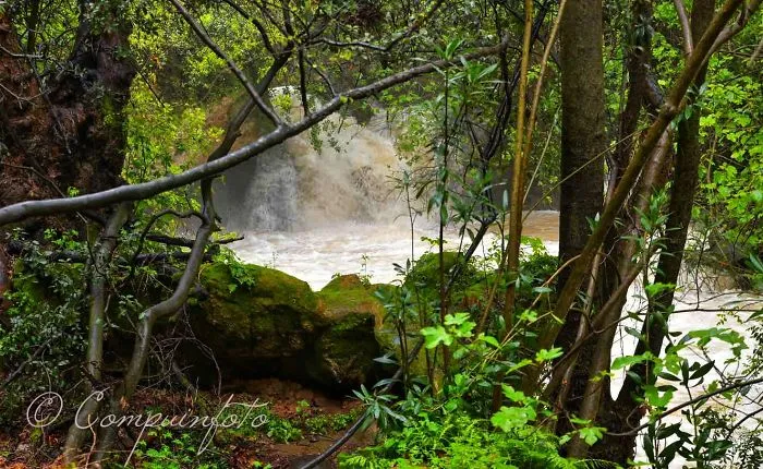 Banias