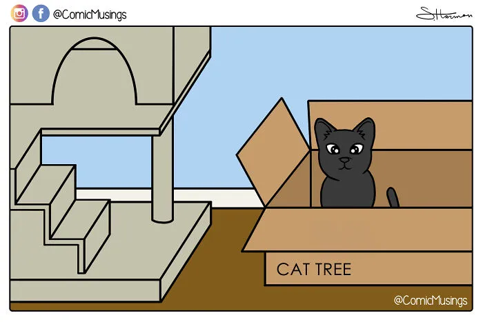 We Bought A Cat Tree And He Prefers The Box It Came In...