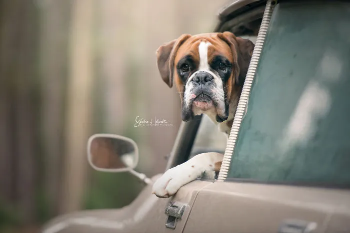 Whatcha Looking At?