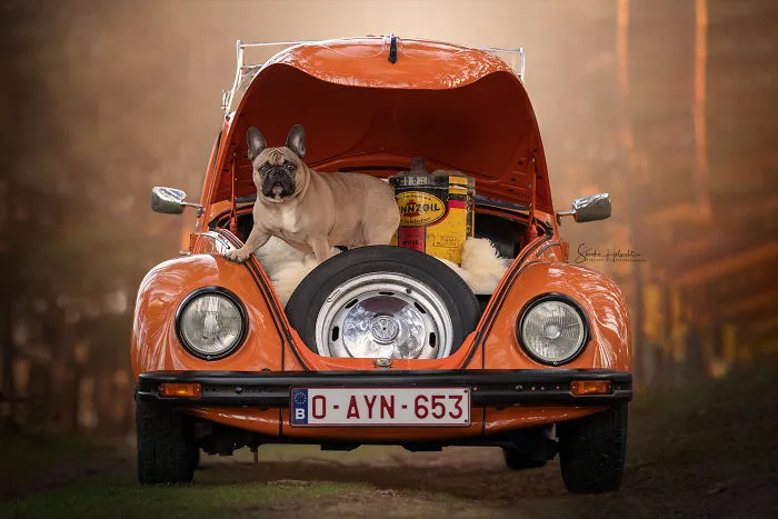 Frenchman On A Camping Trip