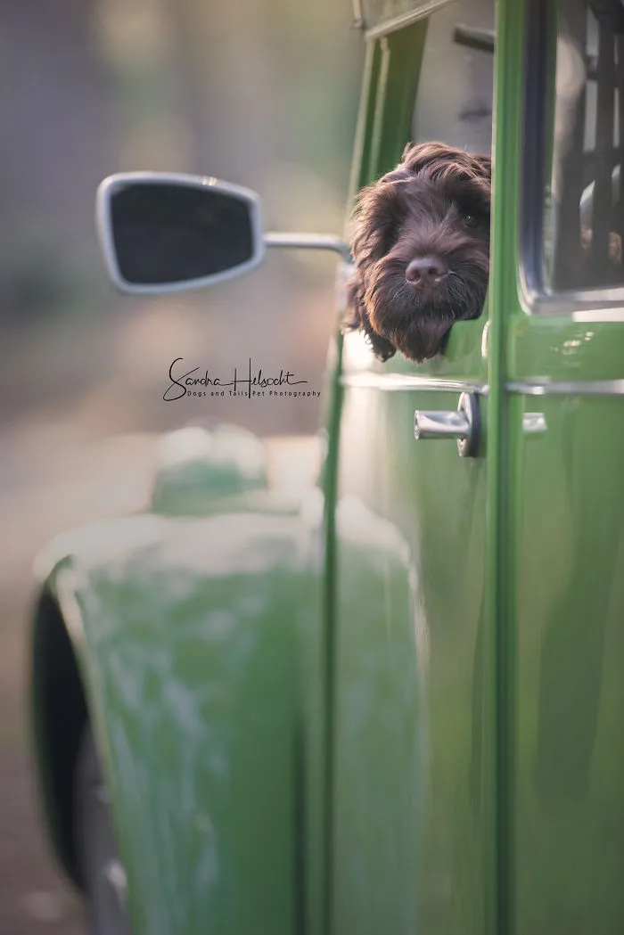Can We Go Now?
