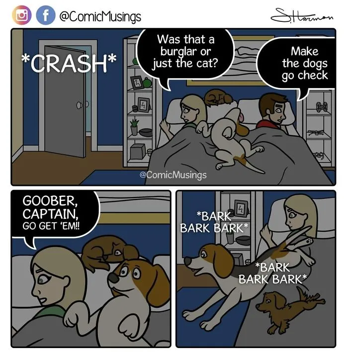 When You Have Dogs, You Make Them Go Check On Things That Go Bump In The Night!