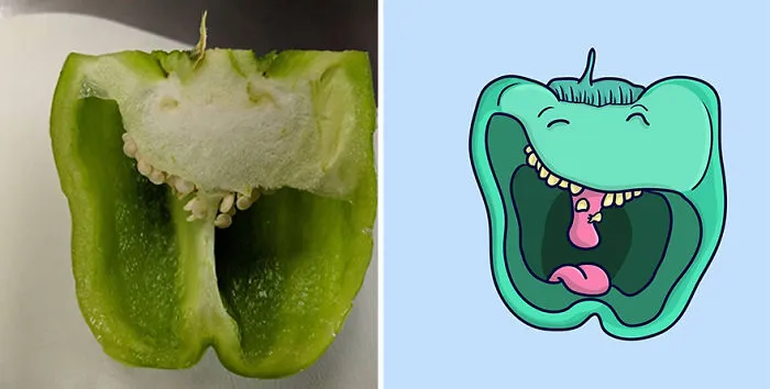 Fruit