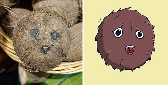 Coco