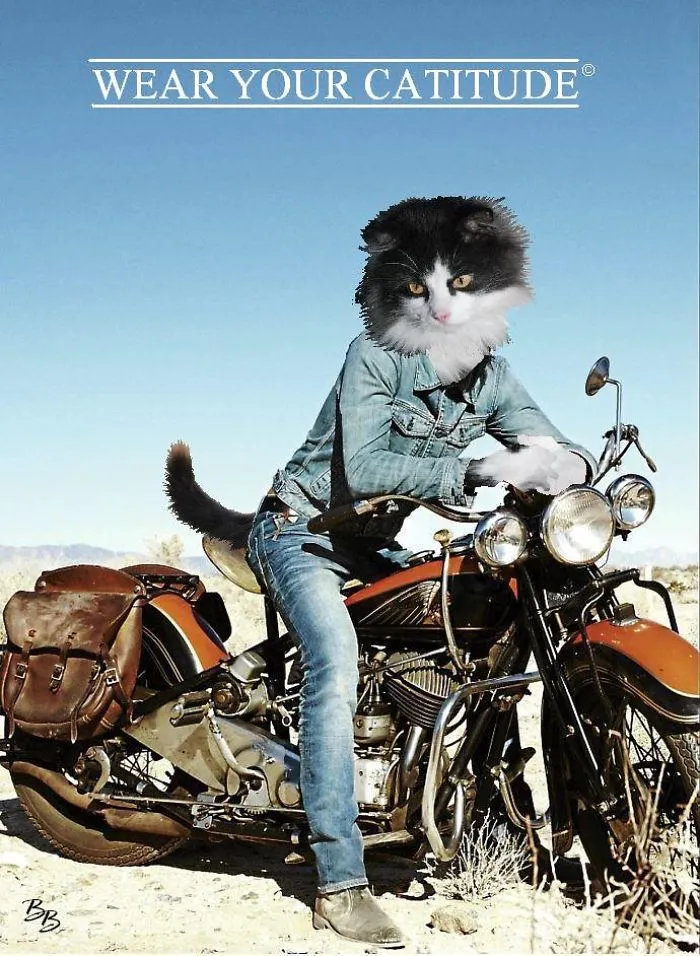 Trooper Likes His Bikes
