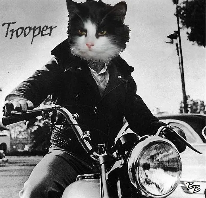 Troop Dean- Rebel Without Claws