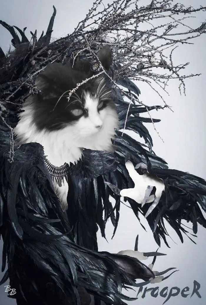 Meowlloween Cernunnos - Wild God Of The Forest