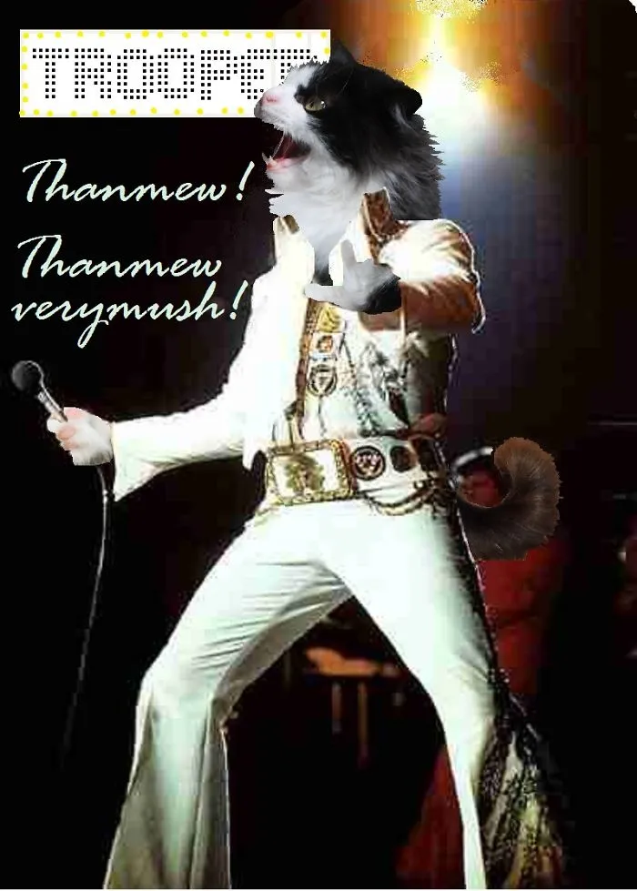 Trooper's Just A Ham