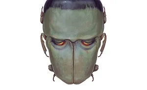 I Mutated 12 Insects To Resemble Horror Movie Characters