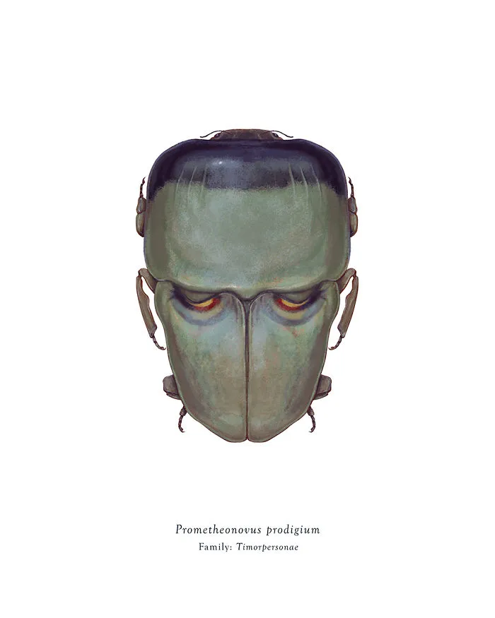 Prometheonovus Prodigium