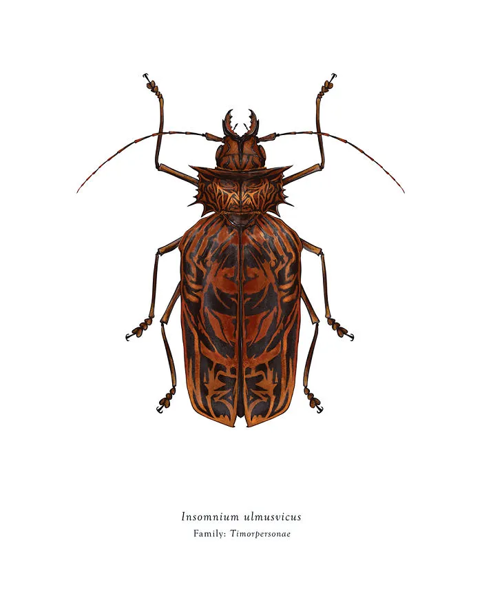 Insomnium Ulmusvicus