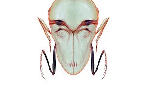 I Mutated 12 Insects To Resemble Horror Movie Characters