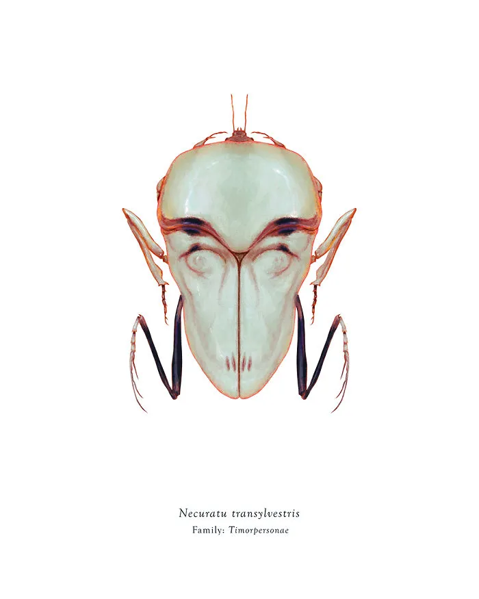 Necuratu Transylvestris
