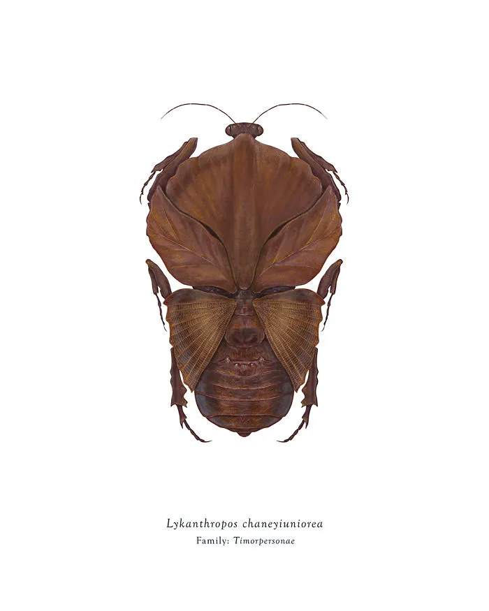 Lykanthropos Chaneyiuniorea