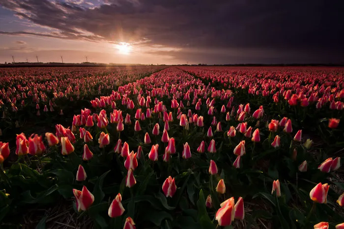 I Am Moving Out Of The Netherlands After 3 Years, So I Present A Collection Of My Favorite Photos Of This Place