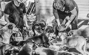 I Followed A Rescue Organisation Around An Informal Settlement In South Africa With My Camera
