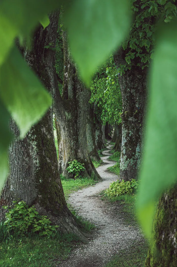 Never-Ending Winding Path