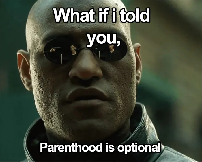 40 Memes About Being Childless In Response To People Not Accepting That This Is A Free Choice