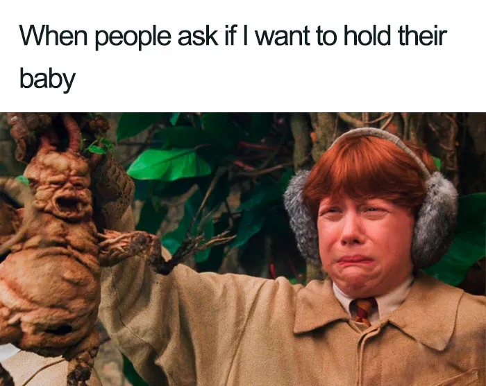 40 Memes About Being Childless In Response To People Not Accepting That This Is A Free Choice