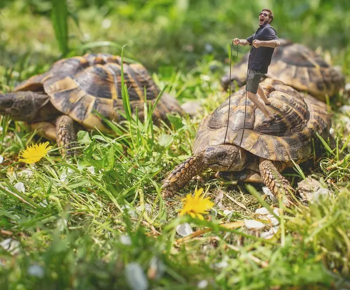 79 Surreal Photo Manipulations By Ben Robins That Challenge Logic