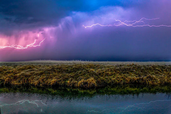 Purple Storm