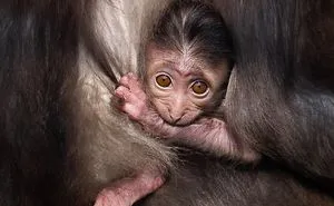 Here Are My 20 Photos That Show How Precious Animals Are