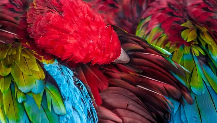 Here Are My 20 Photos That Show How Precious Animals Are