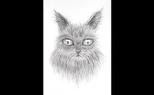 No One Believed That A 10 Year Old Could Draw Like This.