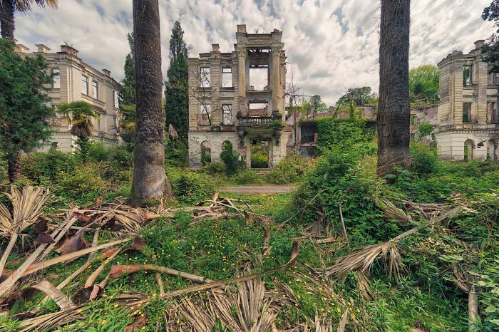 Palms And Ruins