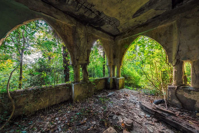 Jungle Palace