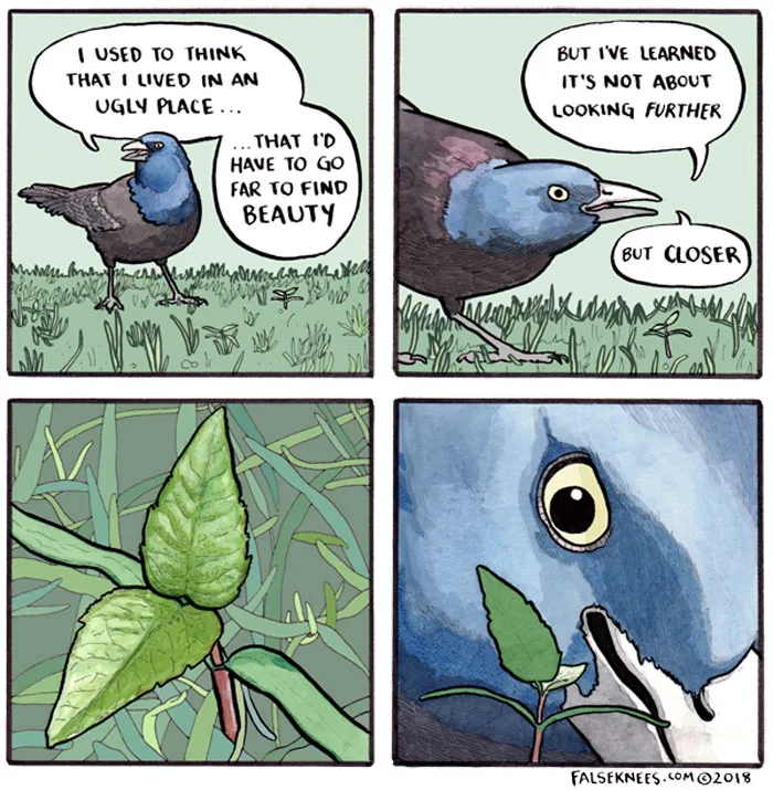 30 Funny Animal Comics That Show What Is Really Happening Out In The Wild By 'False Knees'